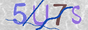 CAPTCHA (Şahıs Denetim Kodu) Resmi